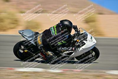 media/Oct-24-2025-2WTD (Fri) [[491f36c2bf]]/B Group/Session 4 (Turn 7)/